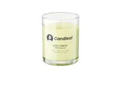 Juicy Lemon - Candleaf