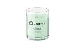 Spiced Mint - Candleaf