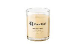 Fresh Orange - Candleaf